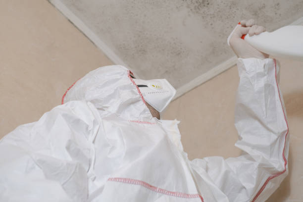 Best Office Mold Removal Services  in Bandon, OR
